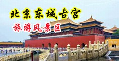 操无毛肥逼免费网站中国北京-东城古宫旅游风景区