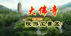 骚B17p中国浙江-新昌大佛寺旅游风景区